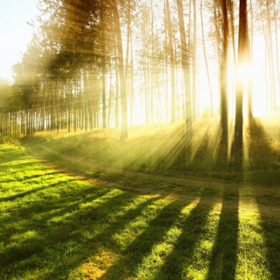 Dr. Dahans Daily Wisdom - Motivational Podcast