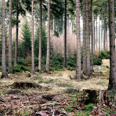 Dr. Dahans Daily Wisdom - Motivational Podcast