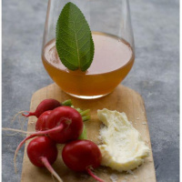 Emelie Tolley - Author- Herbs and Fashion