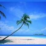 Gbg Opportunity Overview And Team Calls