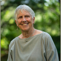 Episode 227: Claire Willis