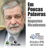 Em Poucas Palavras #036