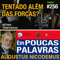 Em Poucas Palavras #256 - Irresistível tentação -7Temporada
