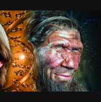 Health Care Let Neandertals Punch above Their Weight