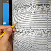 Seismologists Find the World Quieted Down during Pandemic Lockdowns