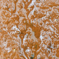 Ancient Rock Art Got a Boost From Bacteria