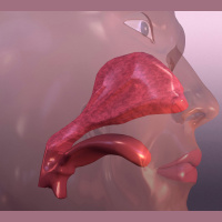 Eat Slowly and Breathe Smoothly to Enhance Taste