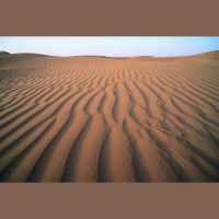 Saharan Dust Brings Bacterial Blooms to the Caribbean