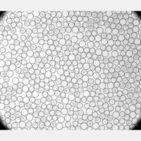 Inside Millions of Invisible Droplets, Potential Superbug Killers Grow