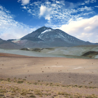 The Worlds Highest-Dwelling Mammal Lives atop a Volcano