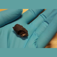 Ancient Gum Gives Archaeologists Something to Chew On