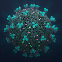 COVID, Quickly, Episode 1: Vaccines, Variants and Diabetes