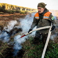 A Growing Force of Fiery Zombies Threatens Cold Northern Forests