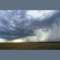 Farm Fields Release Carbon Mist during Rainstorms