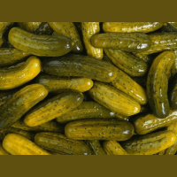 Fermented Foods Find Fervent Advocate