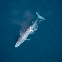 Science News Briefs from around the World