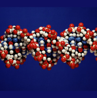 Ancient Human DNA Found in Cave Dirt