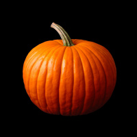 We Owe Our Pumpkins to Pooping Megafauna