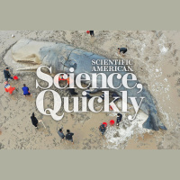 Do We Need To Save the Whales Again?