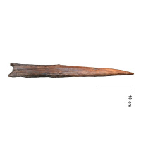 Neandertal Spears Were Surprisingly Deadly