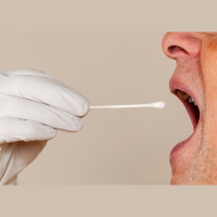 Saliva Protein Might Inhibit Intestinal Anarchy