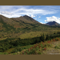 Needed: Info on Biodiversity Change over Time