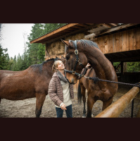 Horses Recognize Pics of Their Keepers