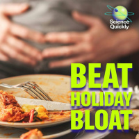 Gut Health Tips for the Holidays