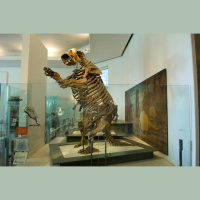 Science News Briefs from around the World