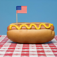 Some Hot Dog Histology