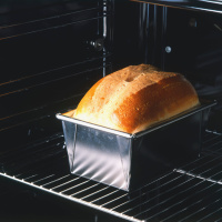 Hunger Hormone Ghrelin Aids Overindulgence