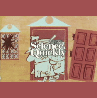 What the Luddites Can Teach Us about AI