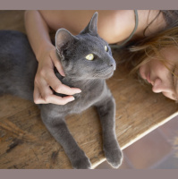 Your Cat Thinks Youre Cool