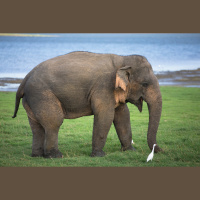 Science News Briefs from around the Globe