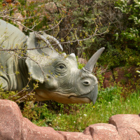 Dinosaurs Got Cancer, Too