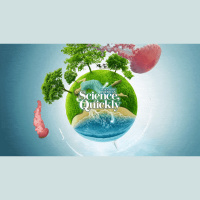 Are You a Lucid Dreamer?