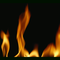 Heat Sensor Has Snaky Sensitivity