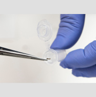 Science News from around the World