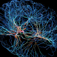 The Kavli Prize Presents: How Your Brain Maps the World [Sponsored]