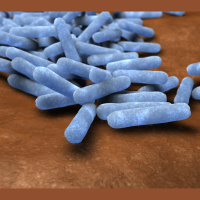 When We Fly to Mars, Microbes Will, Too