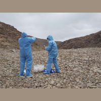 Martian Winds Could Spread Microbe Hitchhikers