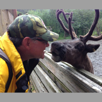 Superstrong Fibers Could Be Hairy Situation