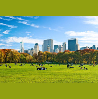 Scenic City Sights Linked to Higher Happiness