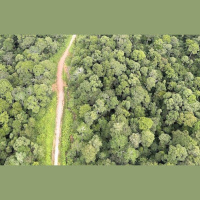 New African Highways Have a High Environmental Price