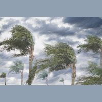 Hurricane Maria Rain Amount Chances Are Boosted by Climate Change