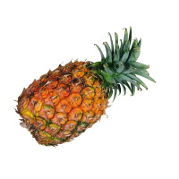 Pineapple Waste Wont Be Wasted