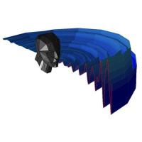 Human Echolocators Use Tricks Similar to Bats