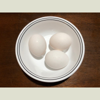 Science News Briefs from around the Planet