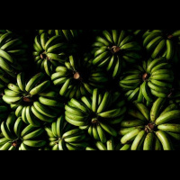 Science News Briefs from All Over