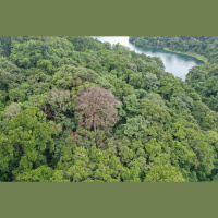 Science News Briefs from around the Planet